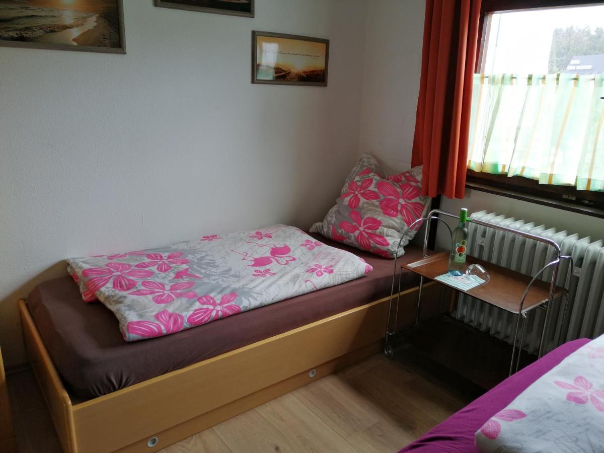 2 Raum Ferienwohnung Sonnenschein Sankt Englmar Exterior foto